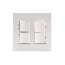 Eurofase Gold US EFDWPS - DUAL DUPLEX,PLATE AND BOX,SS