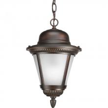 Progress P5530-20WB - One Light Antique Bronze Etched Seeded Glass Hanging Lantern