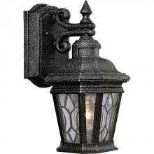 Progress P5661-71 - One Light Gilded Iron Water Seeded Glass Wall Lantern