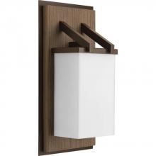 Progress P6029-20WB - 1-Lt. Wall Lantern (8") w/Bulb  Etched Opal glass shade