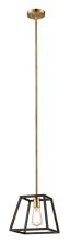 Trans Globe 10461 ROB - Adams 9.25" wide Pendant
