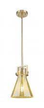 Innovations Lighting 411-1SS-CB-G411-8ME - Newton Cone - 1 Light - 8 inch - Champagne Bronze - Mini Pendant