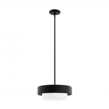 Hunter 19271 - Hunter Station Natural Black Iron with Frosted Cased White Glass 2 Lt Pendant Ceiling Lt Fixture