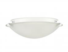 Millennium 61002-MW - Flushmount Ceiling Light