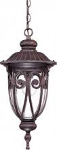Nuvo 60/2068 - 1-Light Outdoor Hanging Lantern in Burlwood Finish and Clear Seeded Glass