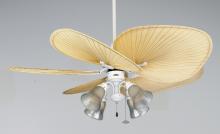 Fanimation F404MW - 4-LIGHT TRADITIONAL FITTER: MATTE WHITE