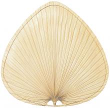Fanimation CAISP2 - 18" CARUSO BLADE: WIDE OVAL PALM, NATURAL  -  SET OF 1
